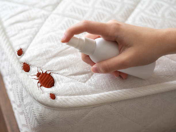 Best Real Estate Pest Inspections  in Pleasant Hills, PA